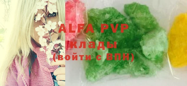 хмурый Абаза