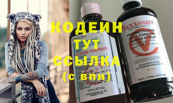 хмурый Абаза