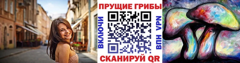 Галлюциногенные грибы Psilocybe  Костомукша 