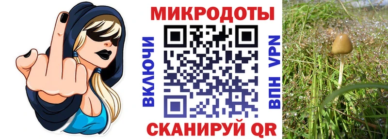 Псилоцибиновые грибы мухоморы Костомукша