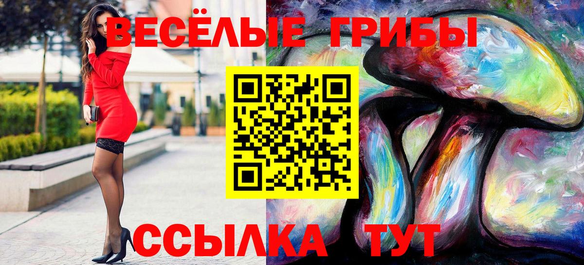 Псилоцибиновые грибы Psilocybine cubensis  Вход с VPN  Костомукша 