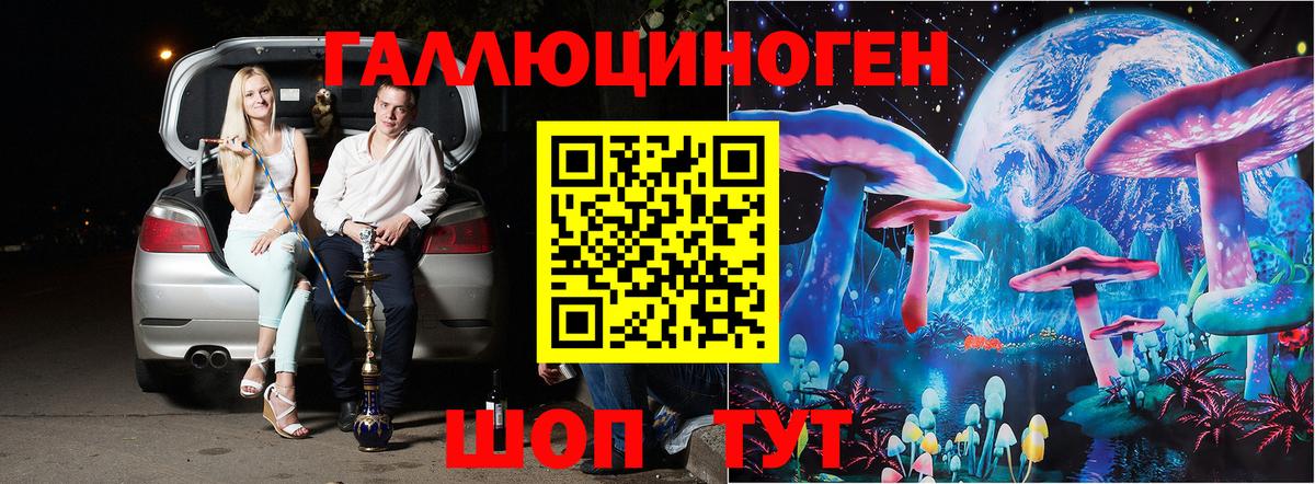 Галлюциногенные грибы прущие грибы Костомукша
